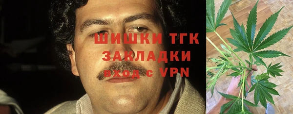 бошки Алексин