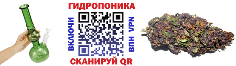 Канабис планчик Безенчук